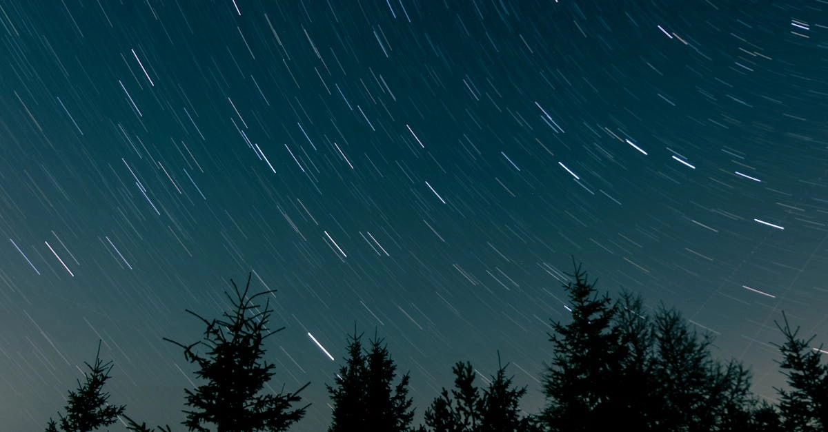 Starlight Princess космическая игра для отдыха и развлечений